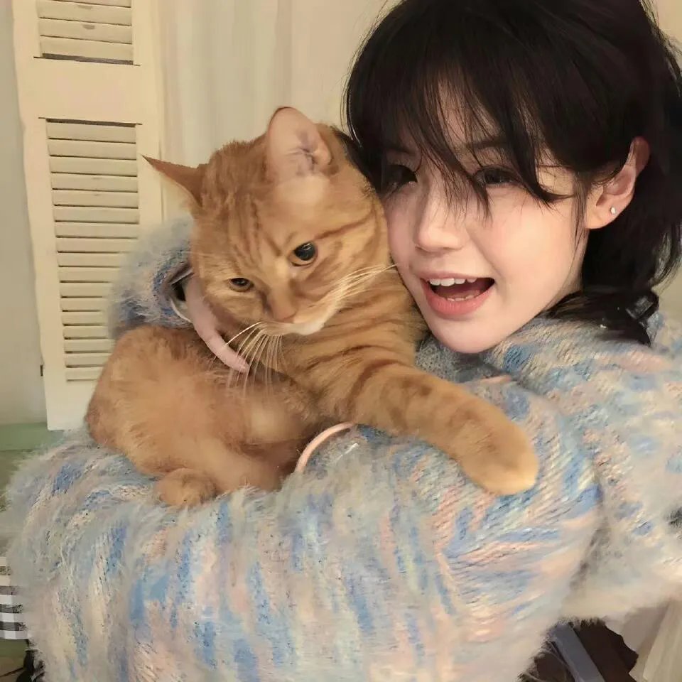 从结婚开始恋爱